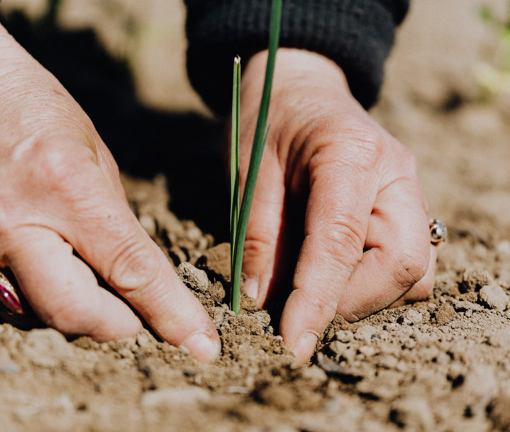 Un chemin vers l’écologie humaine